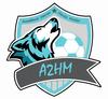 logo Académie Hanau Haute Moder