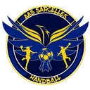 logo Aas Sarcelles / Villiers-le-bel HB