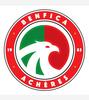 logo Benfica Acheres A.P.