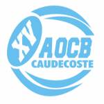 logo Alliance Ovalienne Caudecostoise en Brulhois