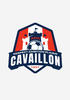 logo A.RC Cavaillon