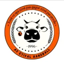 logo AS Etival Handball