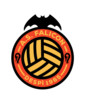 logo AS Falicon