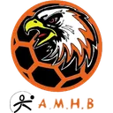 logo Association Marinoise de Handball