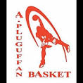 logo Association Pluguffan Basket
