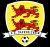 logo AS de Saessolsheim