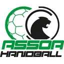 logo AS St-ouen-l'aumone Handball