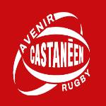 logo Avenir Castaneen