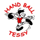 logo Avenir Sportif Tessy Handball