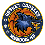 logo Basket Causses Mendois