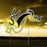 logo U S Baumoise