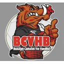 logo Beausset Castellet Var Handball