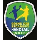 logo Bedarieux Handball