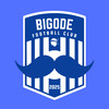 Bigode FC Seniors 1