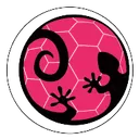 logo Biscarrosse Olympique Handball