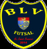 logo Bourg les Valence Futsal