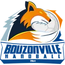 logo Bouzonville Handball