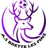 Brette les Pins AS U13 1