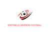logo FC Brienon