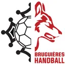 logo Bruguieres Occitan Club 31 Handball