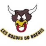logo C S Bazois Rugby
