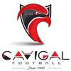 logo Cavigal Nice S.