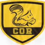 logo Cazaux Olympique