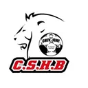 logo Chevigny St Sauveur Handball