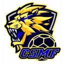 logo CS du Ministere des Finances