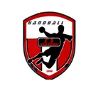 logo CS Villedieu Handball
