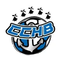 logo Concarneau Cornouaille Handball