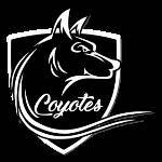 logo Coyotes 94