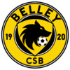 logo CLUB SPORTIF DE BELLEYSAN - SECTION FOOTBALL