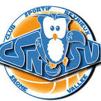logo CS Reyrieux Saone Vallee Basket