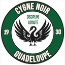 logo Cygne Noir
