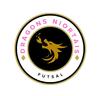 logo Dragons Niortais Futsal