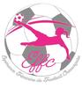 logo Esperance Feminine de Football Chaourcoise