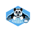 logo Entente Sportive du Territoire de Belfort