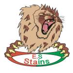 logo Esperance Sportive Stains