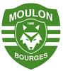 logo EspES du Moulon Bourges