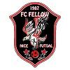 logo FC Fellow Nice