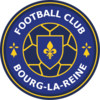 logo FC Blr 33