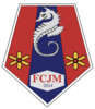 logo Fcjm Dijon