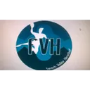 logo Fensch Vallee Handball