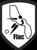 logo Futsal Lac D'annecy Club