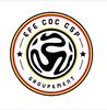 logo Groupement Efecoccsp