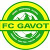 logo Gavot FC 2