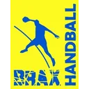 logo Handball Brax