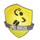 logo Handball Club de Noeux les Mines