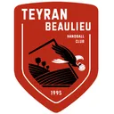 logo Handball Club de Teyran